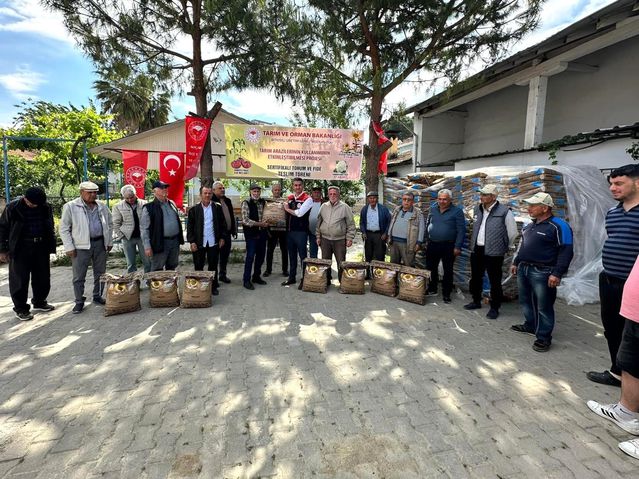 Koçarlı’da 3.600 kg Ayçiçeği Tohumu Dağıtımı Yapıldı