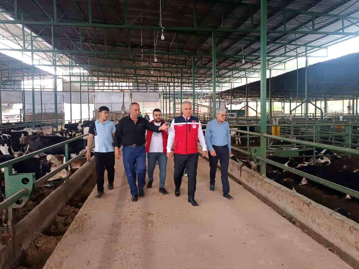 Hatay\'da Kurban Bayramı Denetimleri