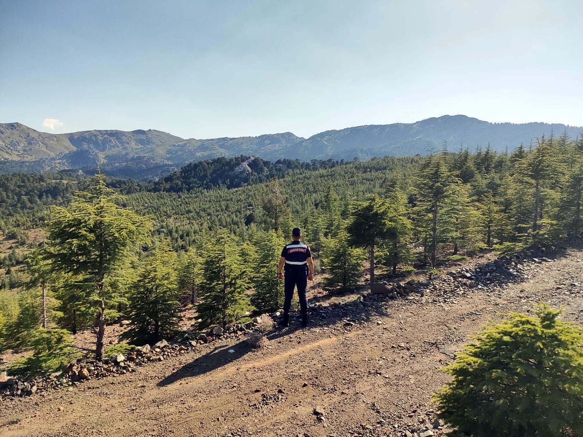 Muğla\'da Orman Girişleri 5 Ay Yasaklandı