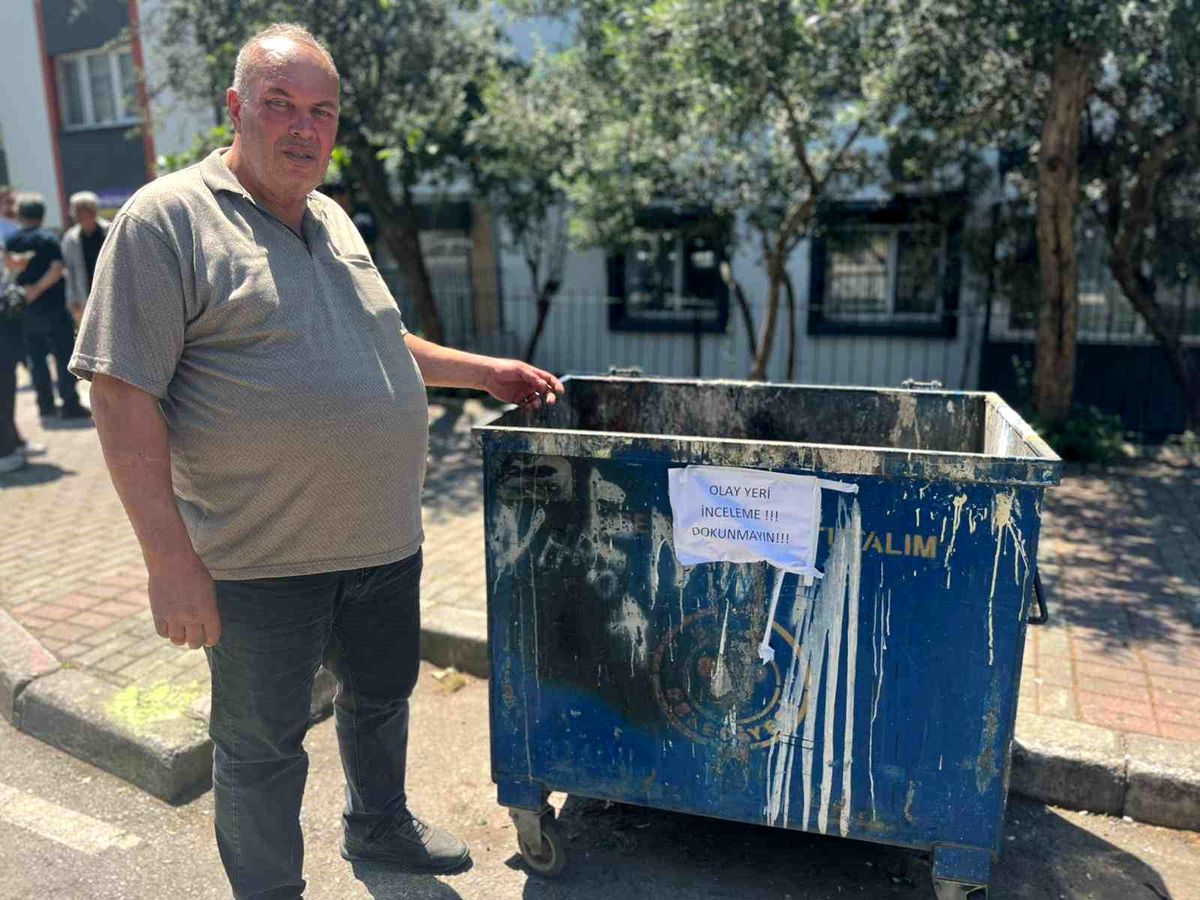 İzmir\'de 33 Ölü Kedi Bulundu