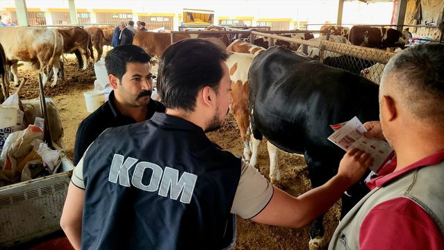 Adıyaman'da Dolandırıcılık Uyarısı