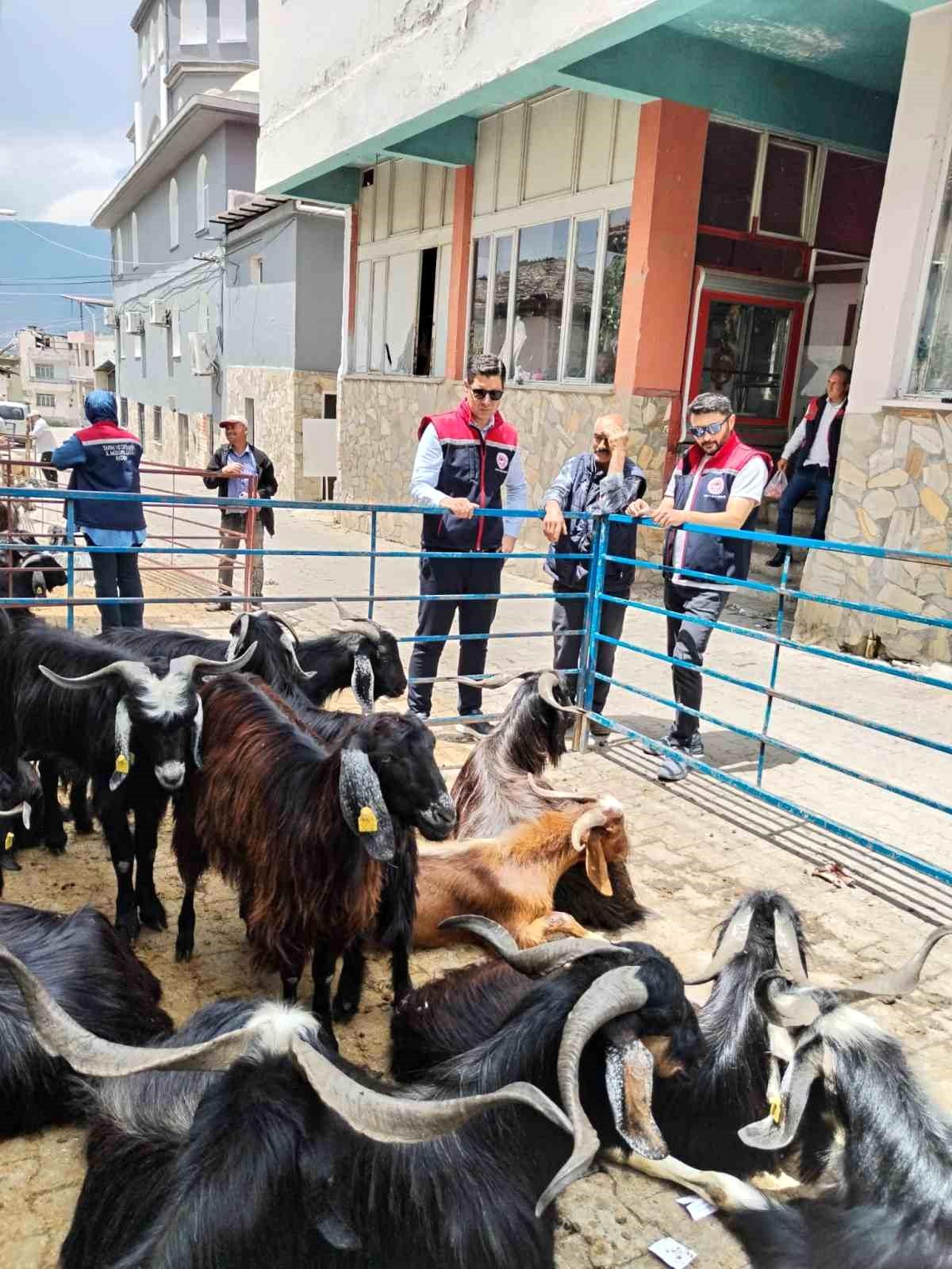 Kurban Satış Yerleri Denetlendi