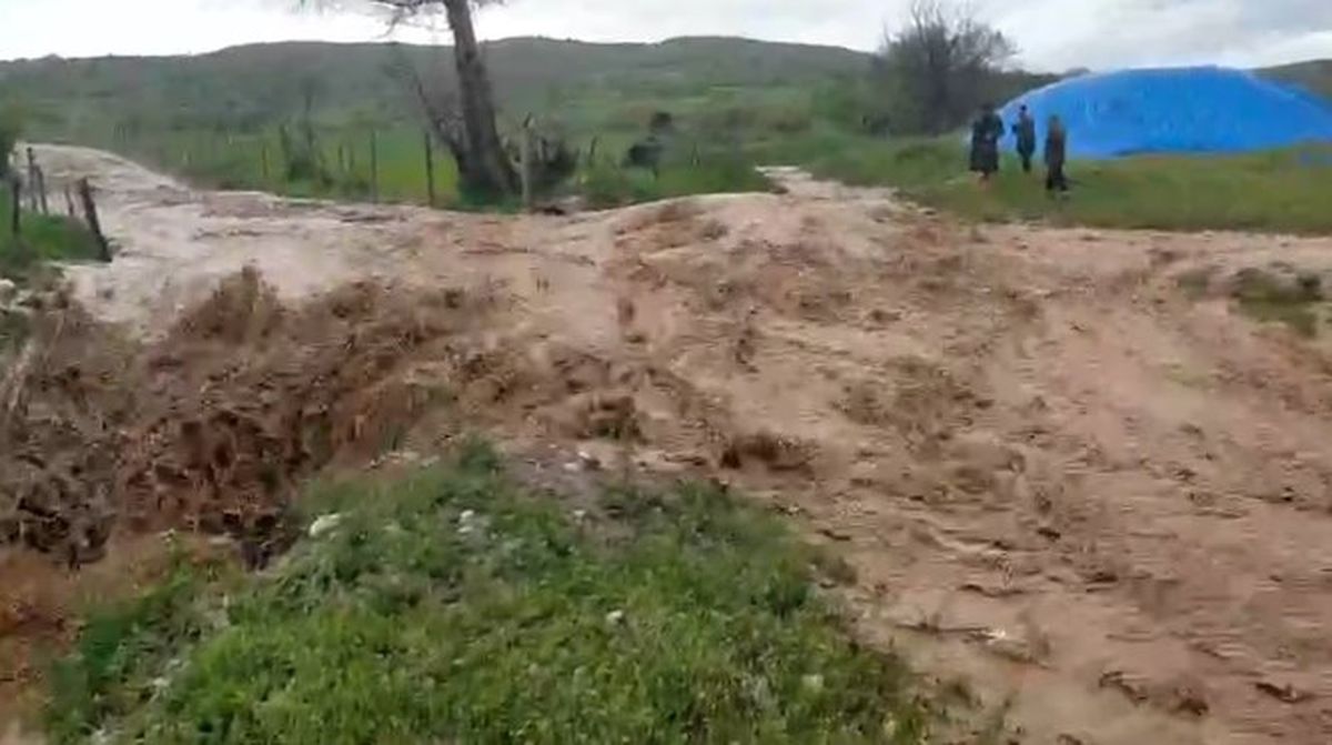 Çorum\'da Sel Felaketi: Tarım Arazileri Zarar Gördü