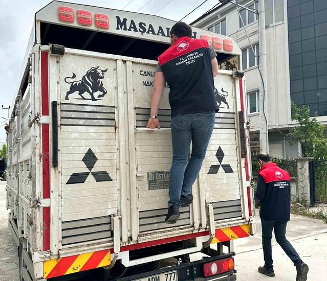 Düzce'de Kurban Denetimleri Sıkı