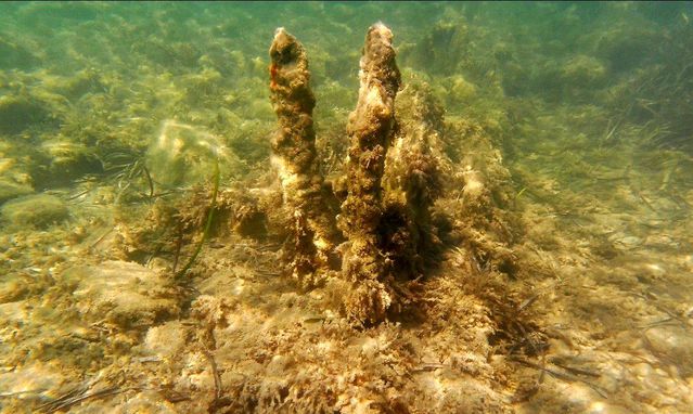 Kuşadası'nda Su Altı Tehlikesi