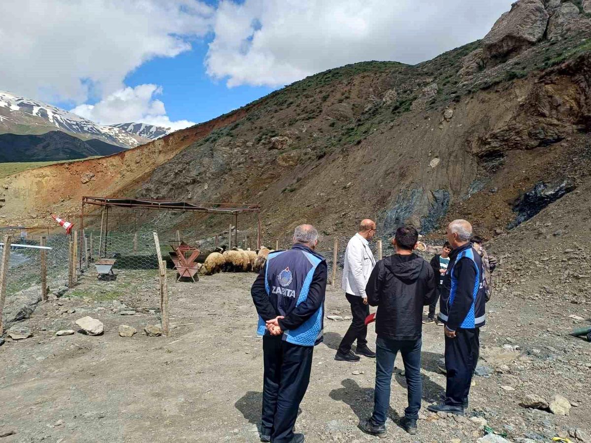 Hakkari\'de Kurban pazarı hareketlendi