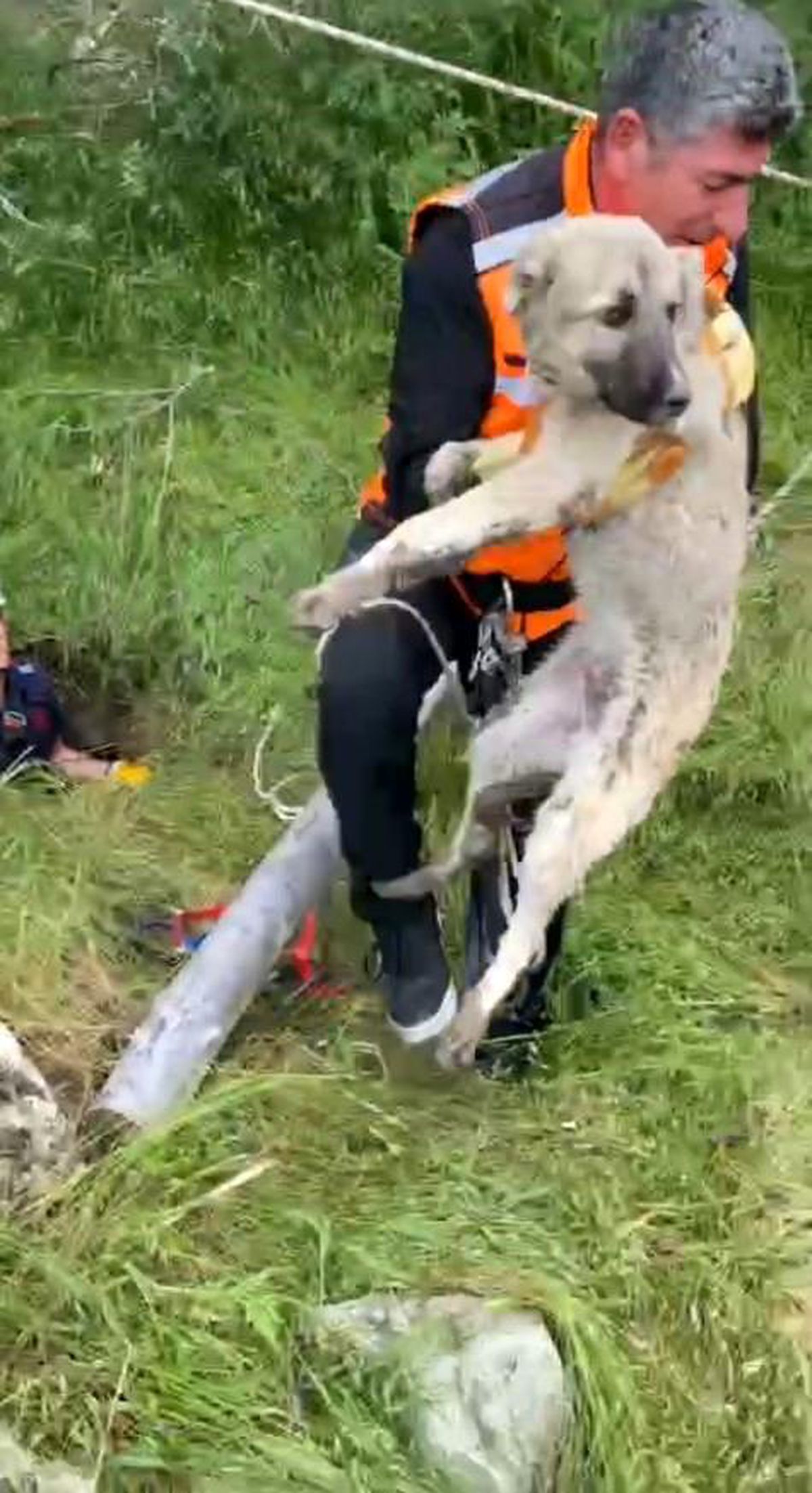 Isparta\'da foseptik çukuruna düşen yavru köpek ve kaplumbağa kurtarıldı