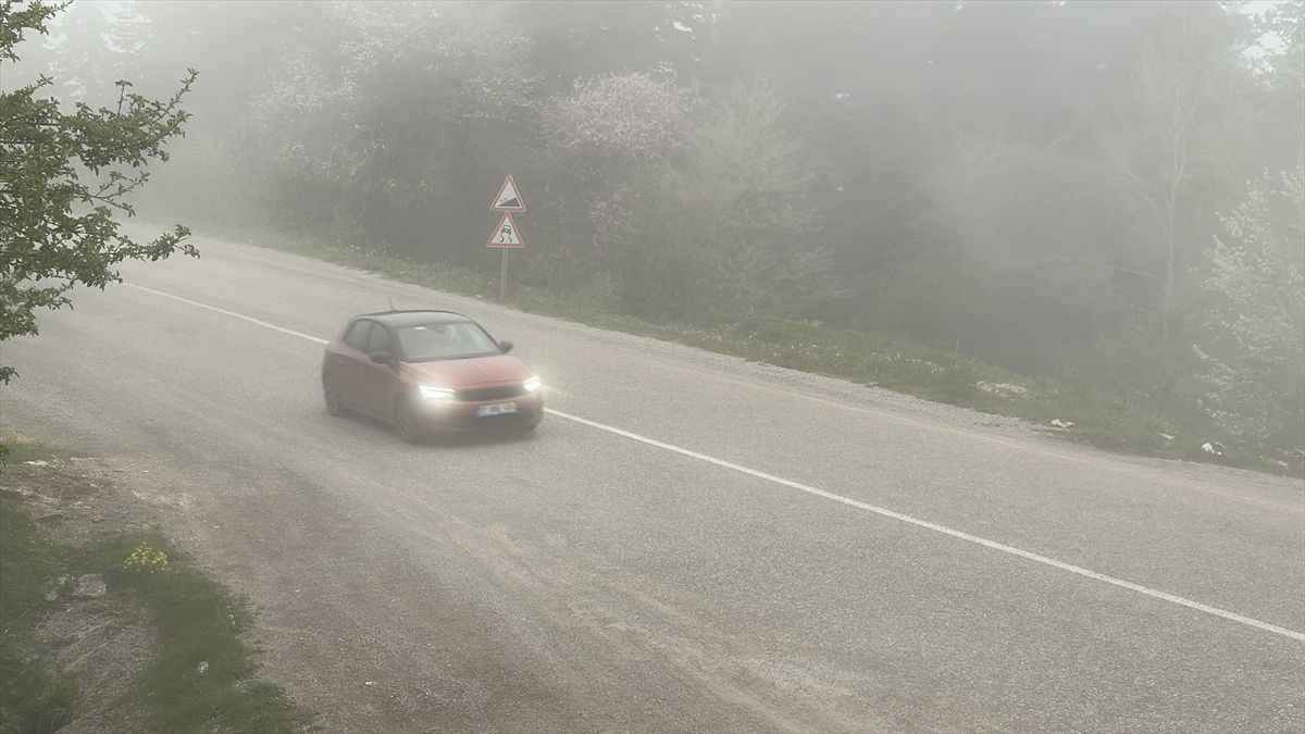 Kastamonu\'da Sis Trafiği Yavaşlattı