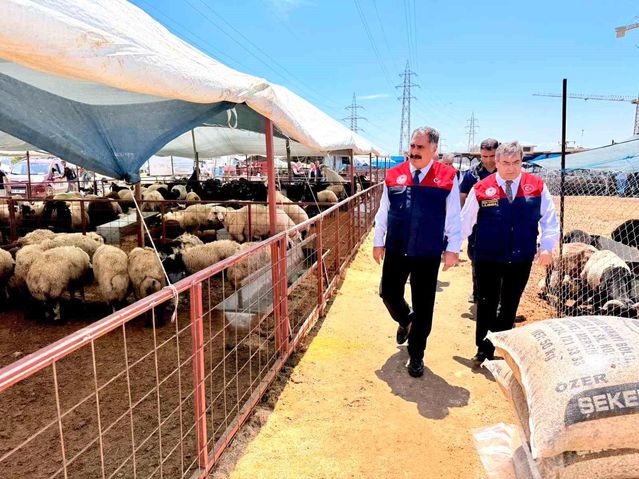 Mersin'de Kurbanlık Satış Denetimleri