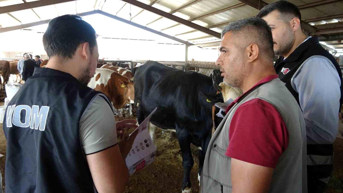 Adıyaman\'da Kurban Pazarı Bilgilendirmesi