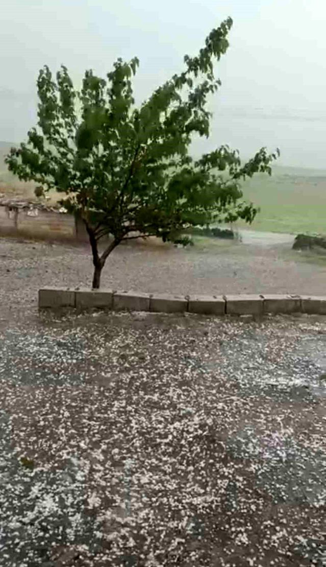 Şanlıurfa'da Dolu Felaketi