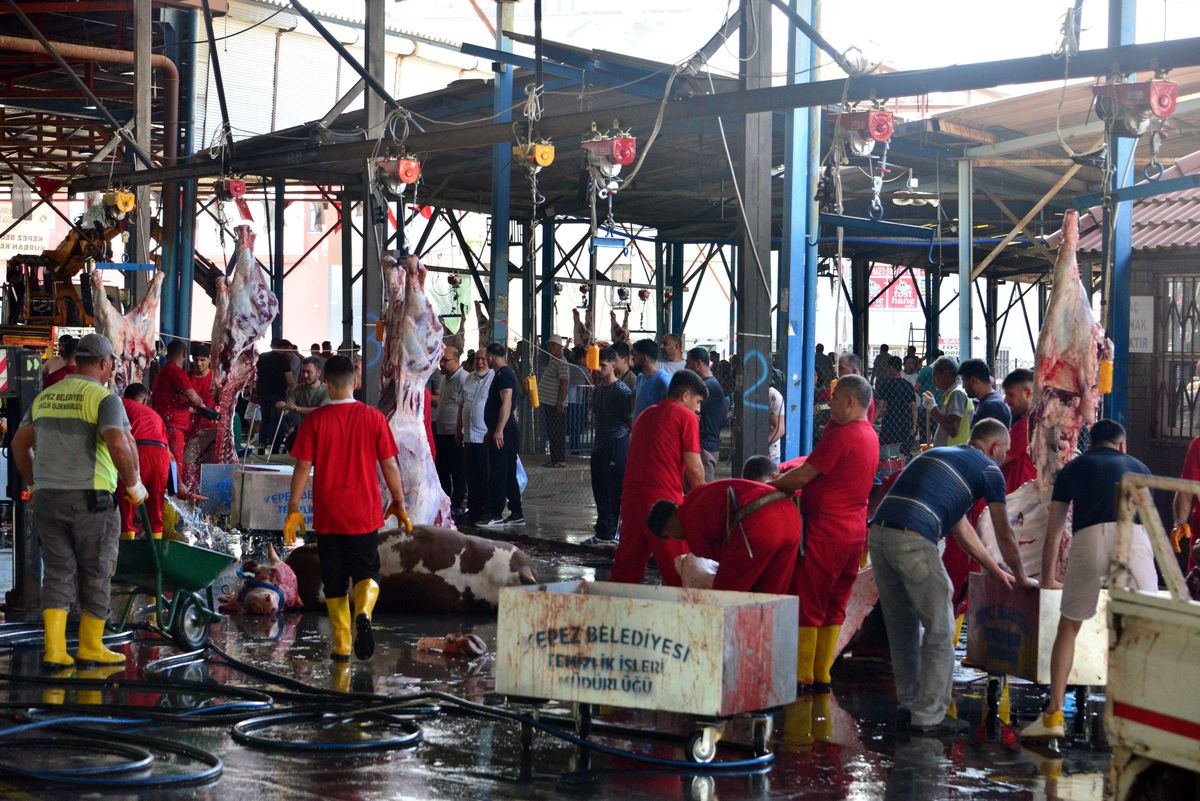 Kurban keserken bunları sakın yapmayın! 30 bin lira cezası var