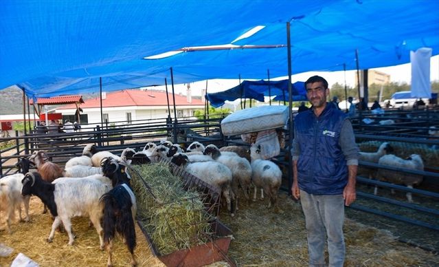 Boyabat'ta Kurban Pazarı Açıldı
