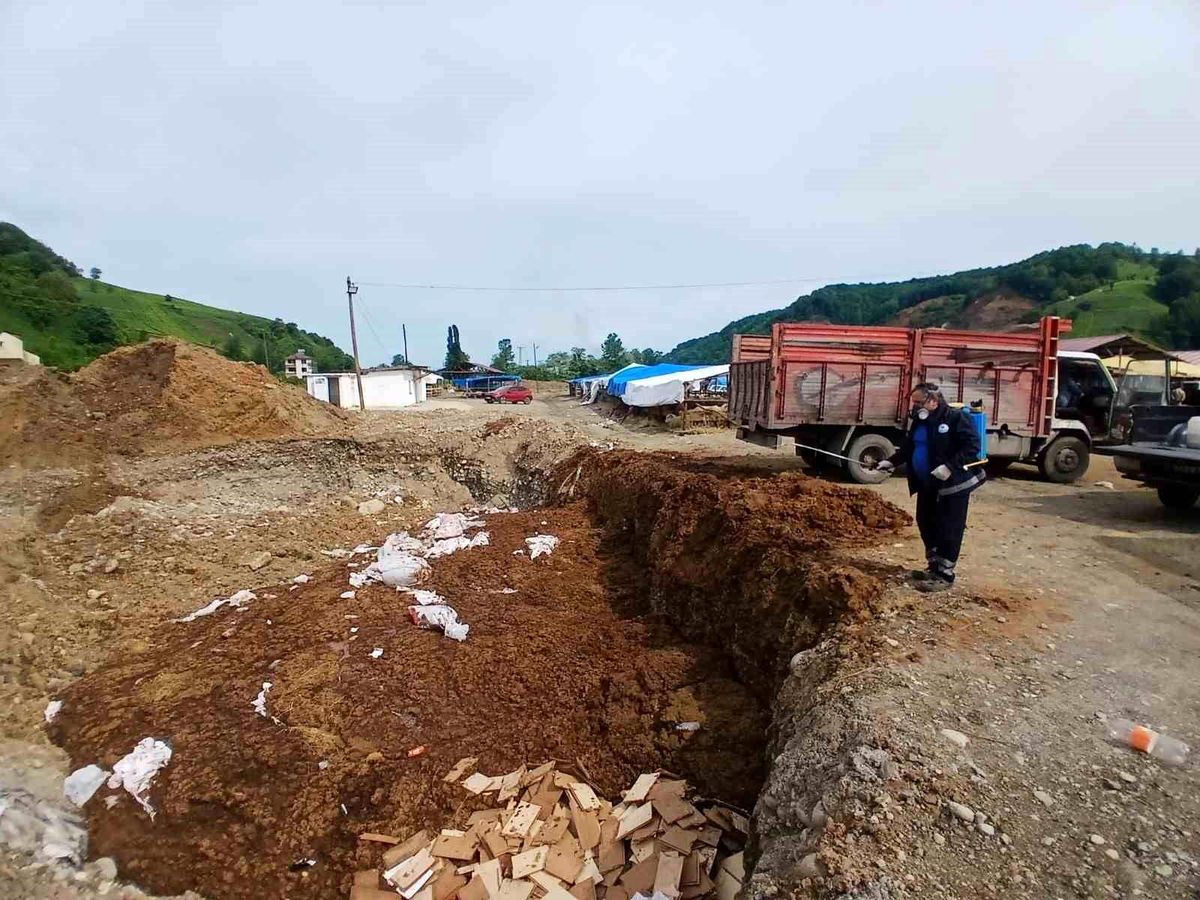 Büyükşehir\'den kurban alanlarında hijyen seferberliği