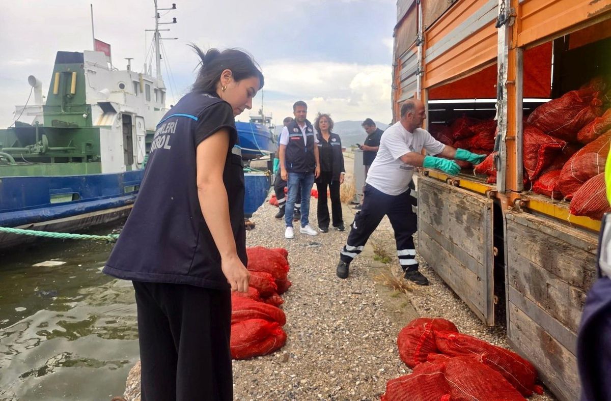İzmir\'de Kaçak Avcılığa Sert Darbe