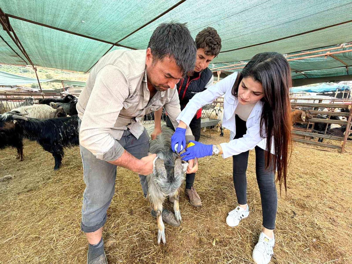 Kepez\'de kurban satış ve kesim yerleri denetim altında