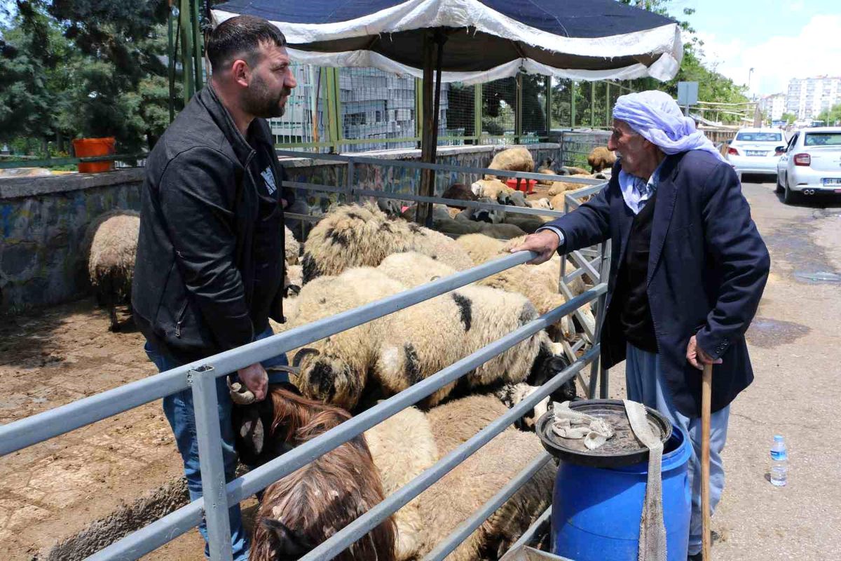 Kurban Pazarı Durgun, Hareketlilik Bekleniyor