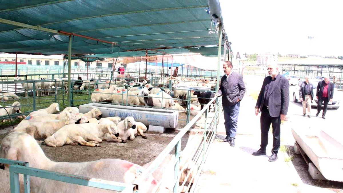 MESOB Başkanı Keskin: "Canlı Hayvan Pazarı yeniden kamu malı olmalı"