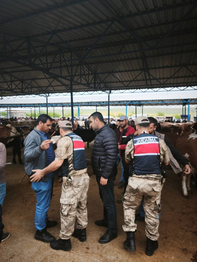 Şanlıurfa’da hayvan pazarlarında bayram alarmı: Jandarmadan sıkı denetim