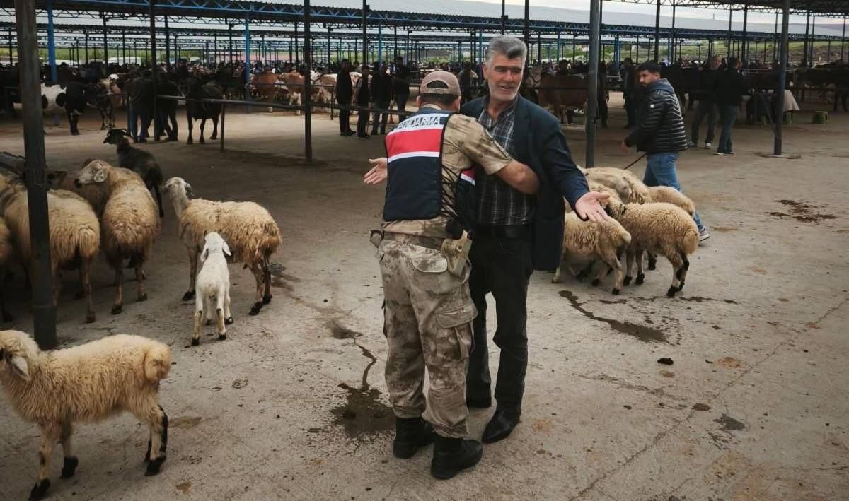Şanlıurfa’da hayvan pazarlarında bayram alarmı: Jandarmadan sıkı denetim