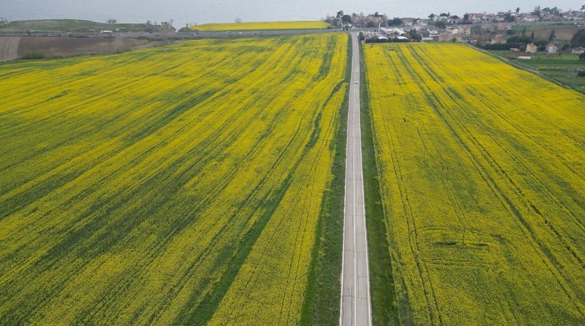 Tekirdağ\'da Tarımda Verim Artışı Beklentisi