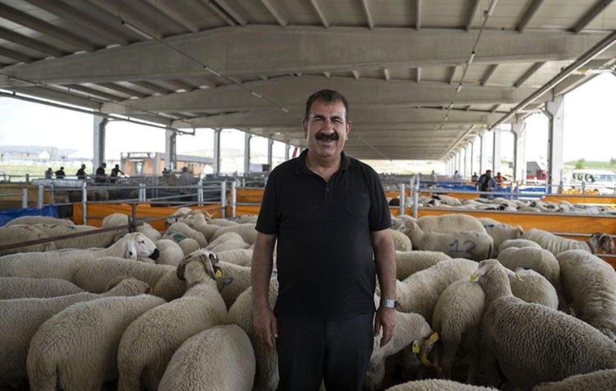 Kurban Bayramı\'nda Dikkat Edilmesi Gerekenler