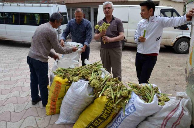 Işgın Tercan'da Satışta