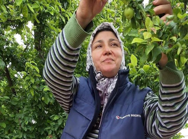 Sarıgöl'de Yaz Meyvelerinde Bereket