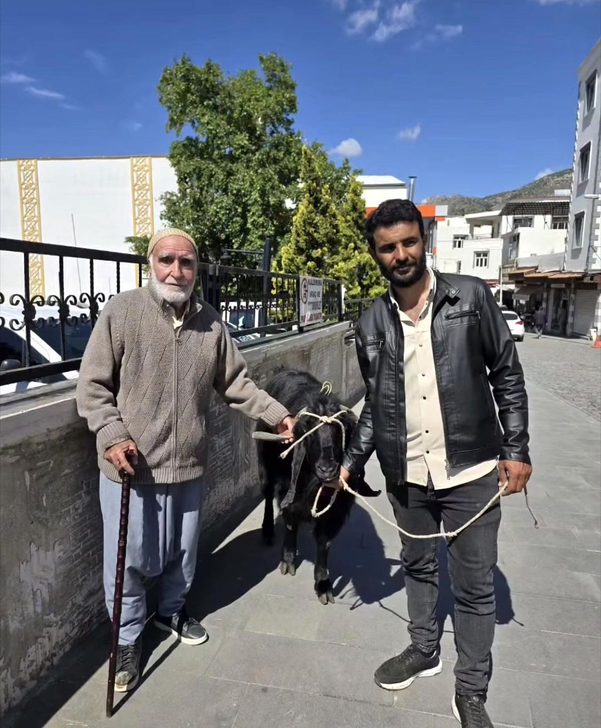 Diyarbakır\'da 70 Kiloluk Keçi 36 Bin Liraya Satıldı