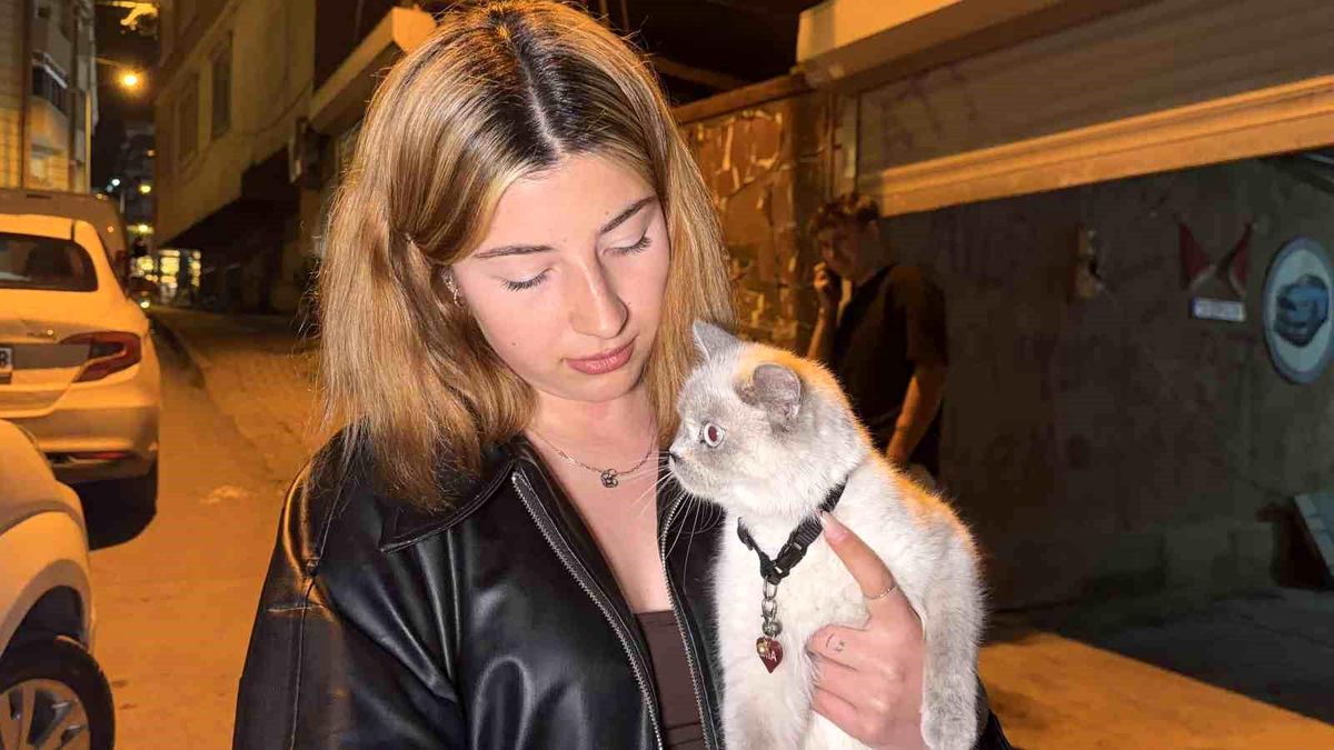 Arnavutköy\'de Kedi Hırsızlığı