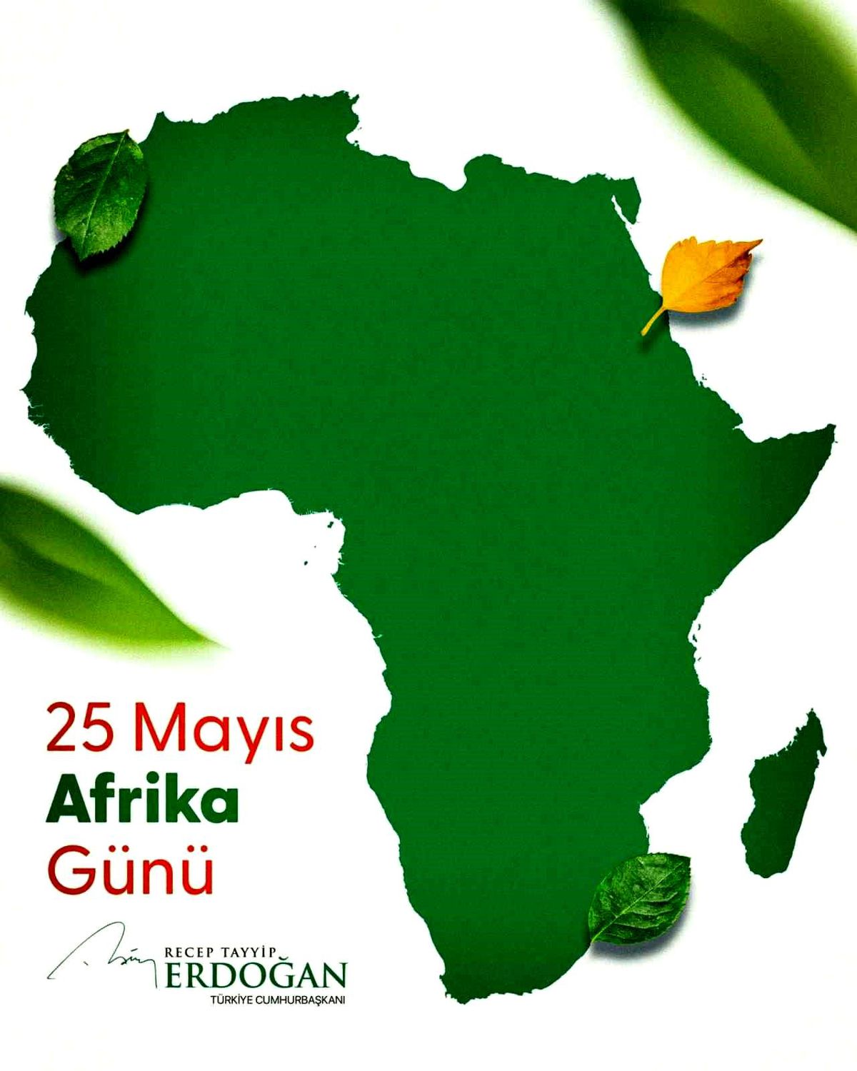 Erdoğan\'dan Afrika Günü ve Afrika Birliği için tebrik