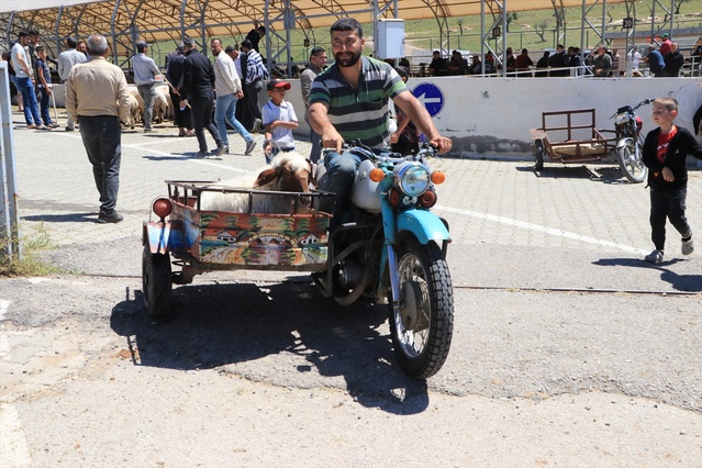 Kurbanlık pazarlarında hareketlilik sürüyor