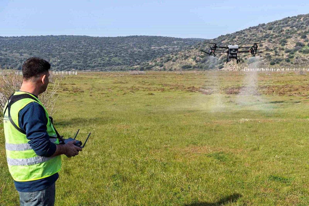 İzmir\'de kurban pazarlarında \'organik\' ve \'dron\'lu ilaçlama