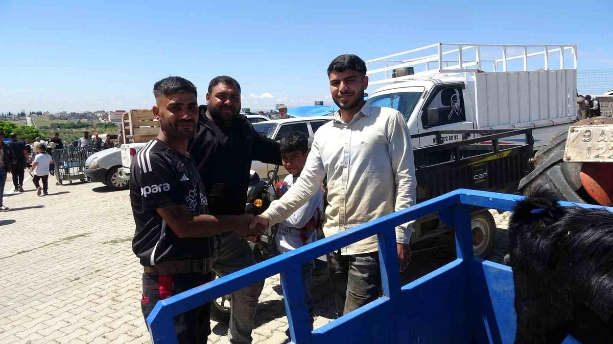 Kilis\'te Kurbanlık Pazarında Hareketlilik