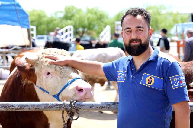 Kırşehir'de 830 Kilo İnek 300 Bin TL'ye Satıldı
