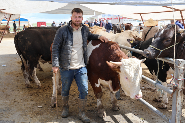 Kırşehir'de otomobil fiyatına inek: 830 kiloluk hayvan 300 bin TL'ye satıldı