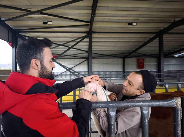 Kurban Bayramı Öncesi Denetimler Artıyor
