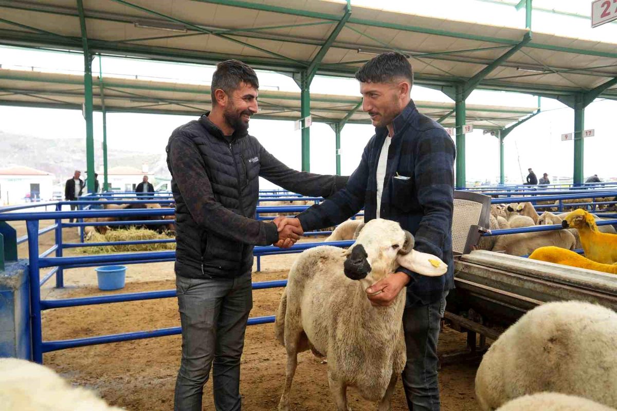Niğde\'de Kurban Pazarı Hareketli