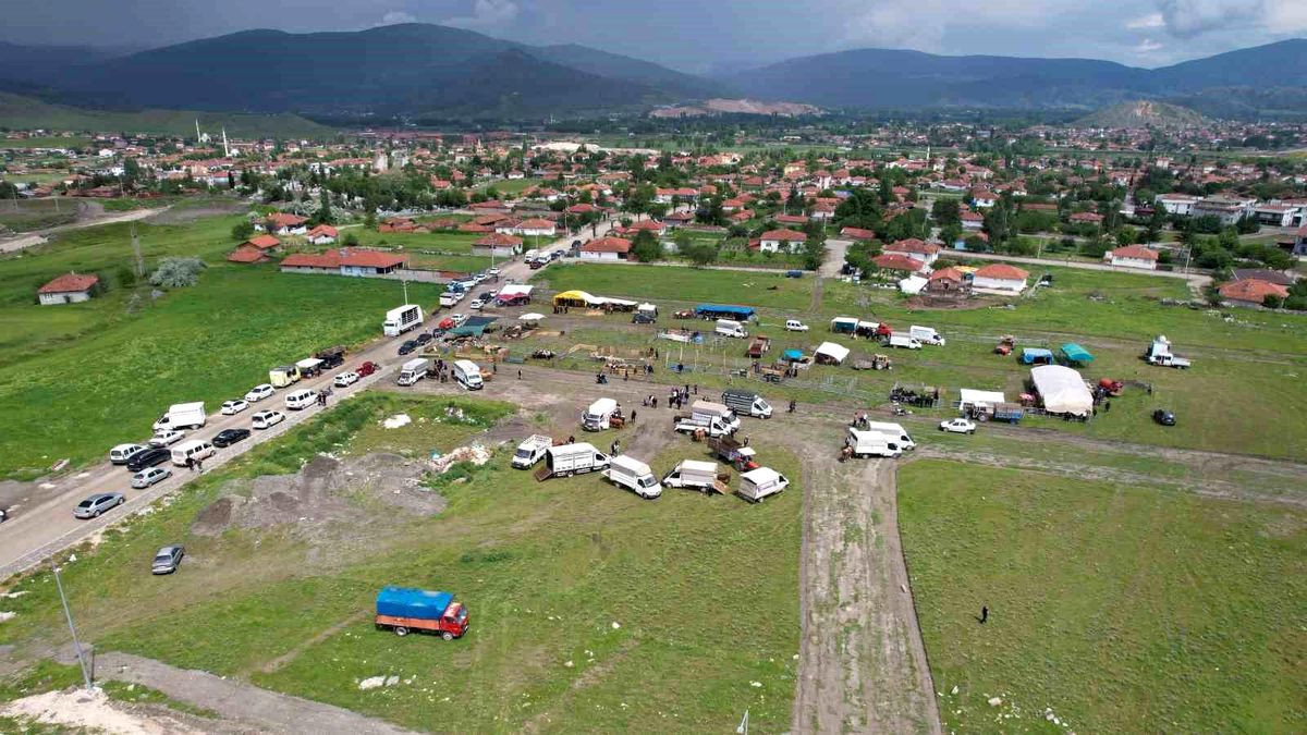 Turhal\'daki Hayvan Pazarı Taşınıyor