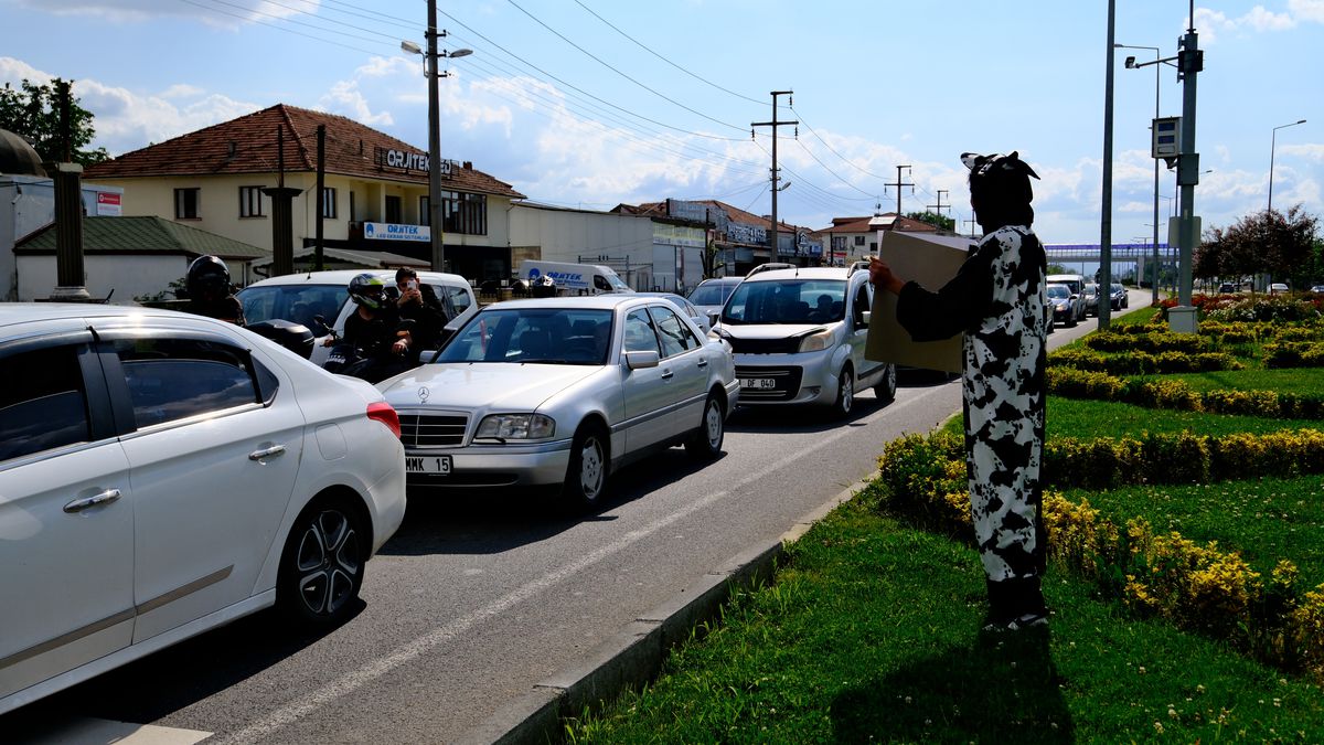 İnek Kostümlü Sürücü Uyarısı