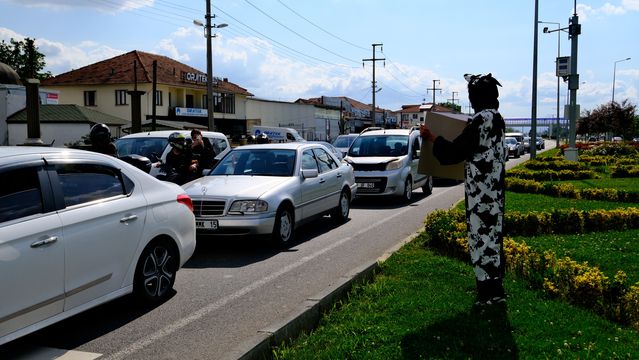 İnek Kostümlü Sürücü Uyarısı