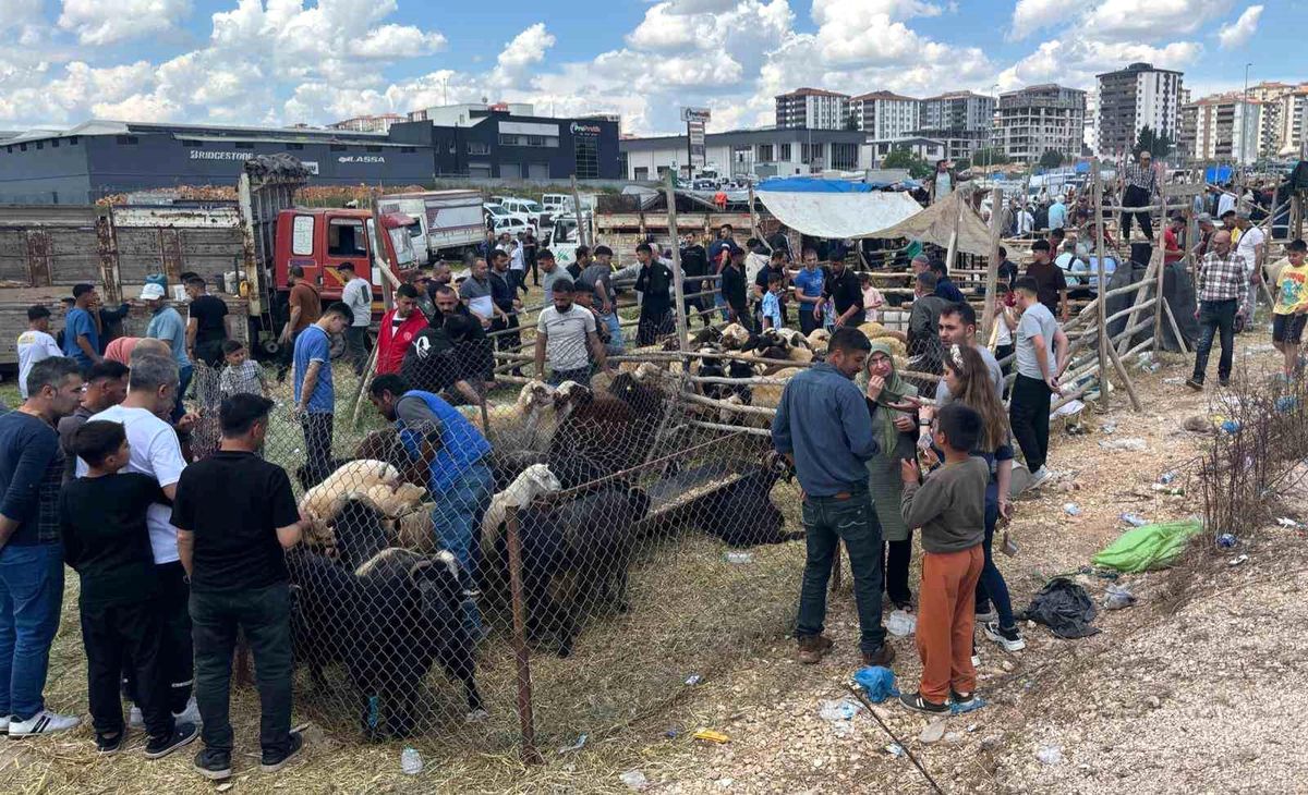 Gaziantep\'te Kurban Pazarları Yoğun
