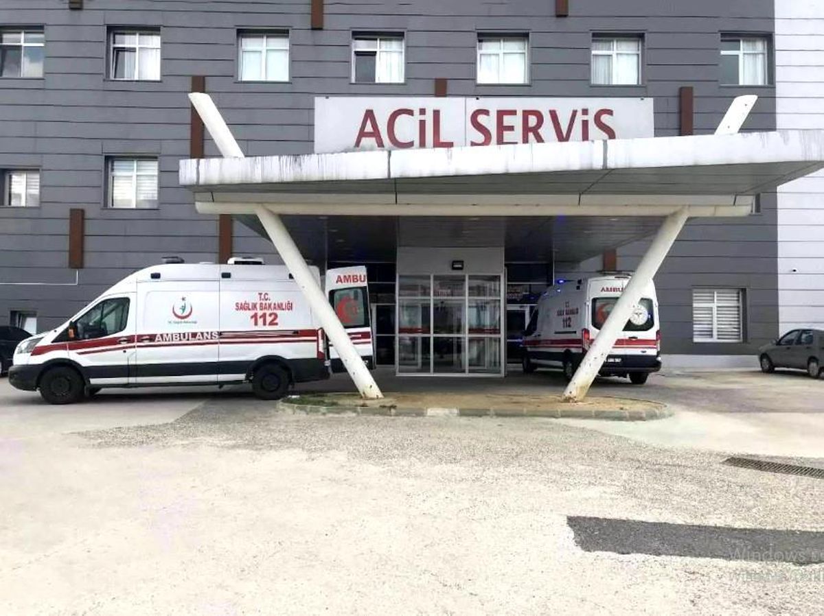 Arı Saldırısı: Yaşlı Çift Hastanelik Oldu
