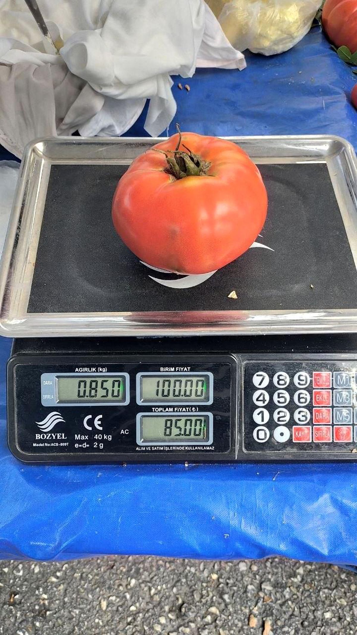 Aydın\'da Bayram Pazarı Hareketlendi