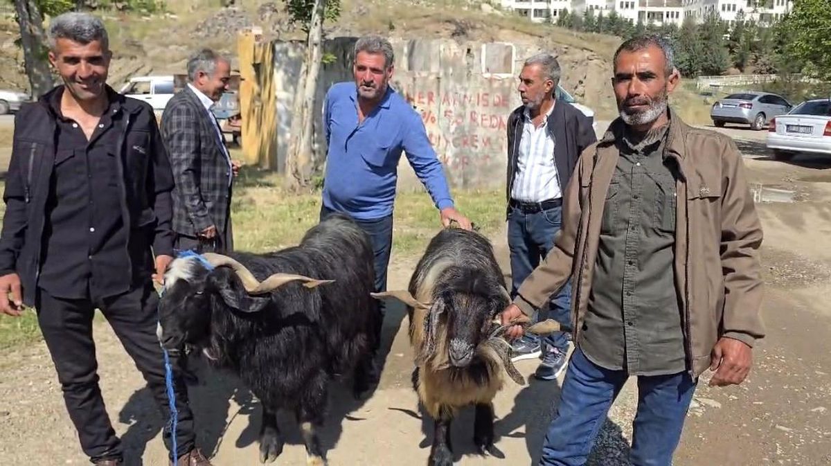 Çermik\'te Kurbanlık Hayvanlara İlgi