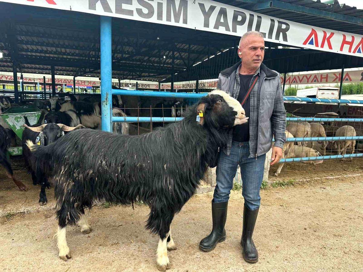 Yıldırım\'da Kurban Pazarı Hareketli