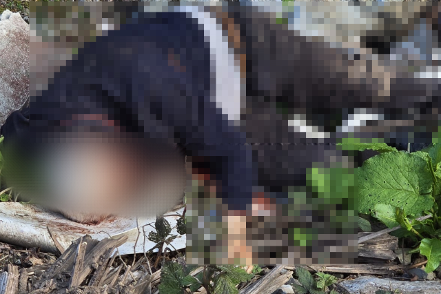 Düzce'de Bıçaklanmış Adam Cesedi Bulundu
