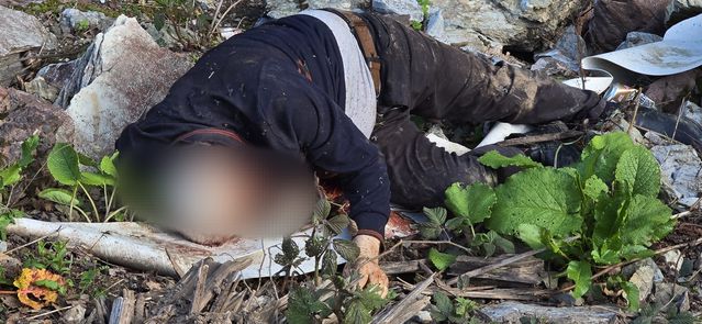 Düzce'de Bıçaklanmış Adam Cesedi Bulundu