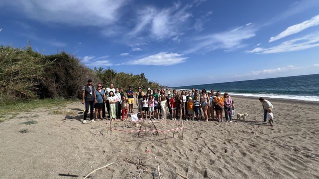 Gazipaşa'da Caretta Yumurtaları Koruma Altında