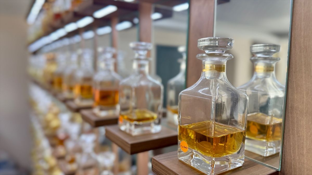 Hobi Olarak Başladı, Koleksiyona Dönüştürdü